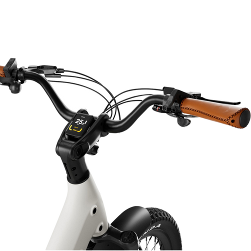 Urtopia Joy Carbon Fat Tire E-Bike — 32 km/h (40 km/h unlocked), 112 km Range, 750W Peak