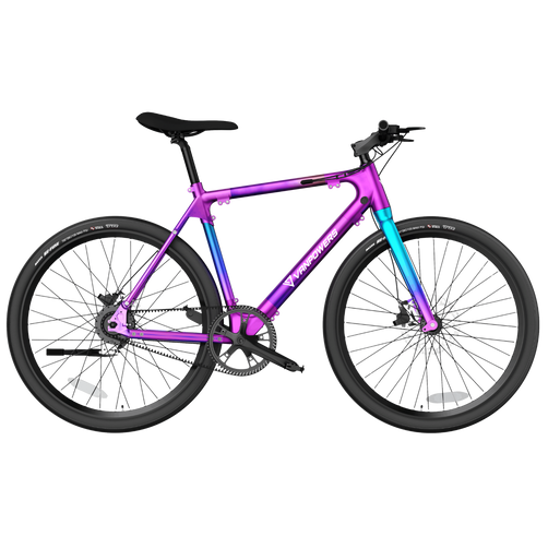Vanpowers City Vanture – 350W Belt Drive, 130KM Range, Lightweight Frame