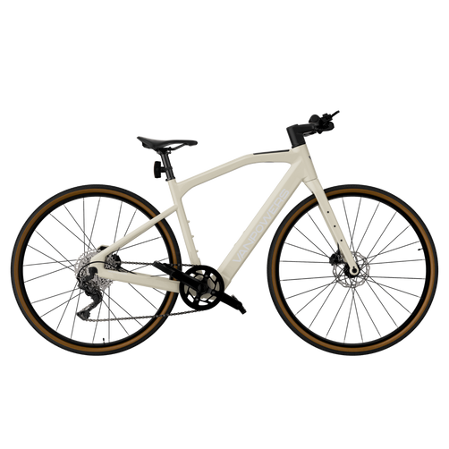 Vanpowers UrbanCross Pro – 250W Hub Motor, 97KM Range, Step-Over Frame
