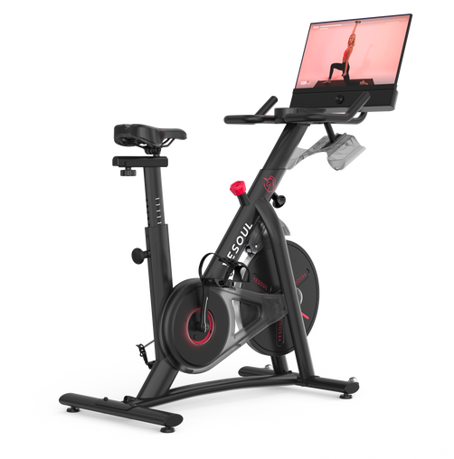 Yesoul G1M PLUS Exercise Bike with 21.5" Smart Screen