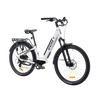 Laurentian E-Bike
