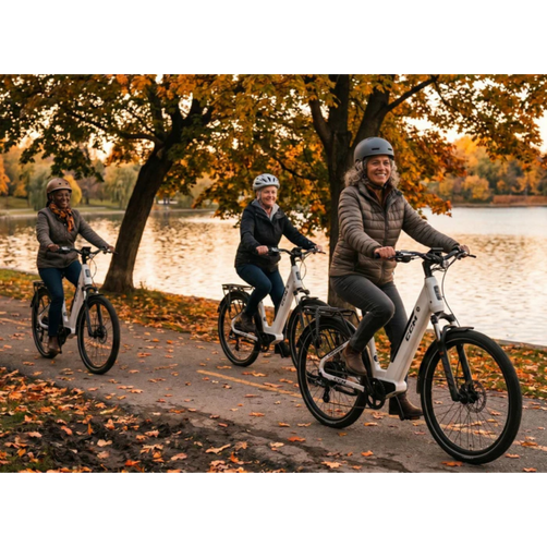 Laurentian E-Bike