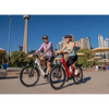 Laurentian E-Bike