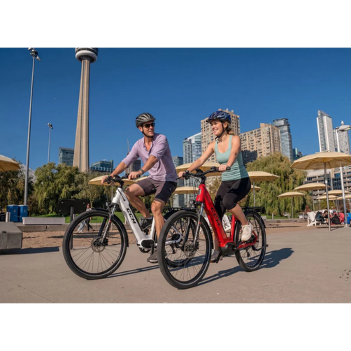Laurentian E-Bike