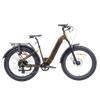 Nahanni E-Bike