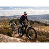 Nahanni E-Bike