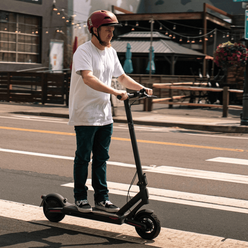 NAVEE S65C Electric Smart Scooter - Dual Suspension, 800W Motor, 64 Km Range