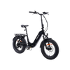 Portage E-Bike