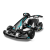 Ninebot Go Kart Pro 2 by Segway